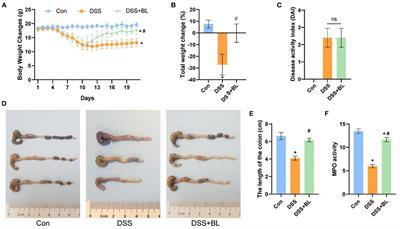 Bovine Lactoferrin Protects Dextran Sulfate Sodium Salt Mice Against Inflammation and Impairment of Colonic Epithelial Barrier by Regulating Gut Microbial Structure and Metabolites